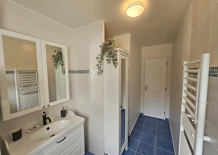 Calme Et Vue Panoramique Champs Et La Sarthe